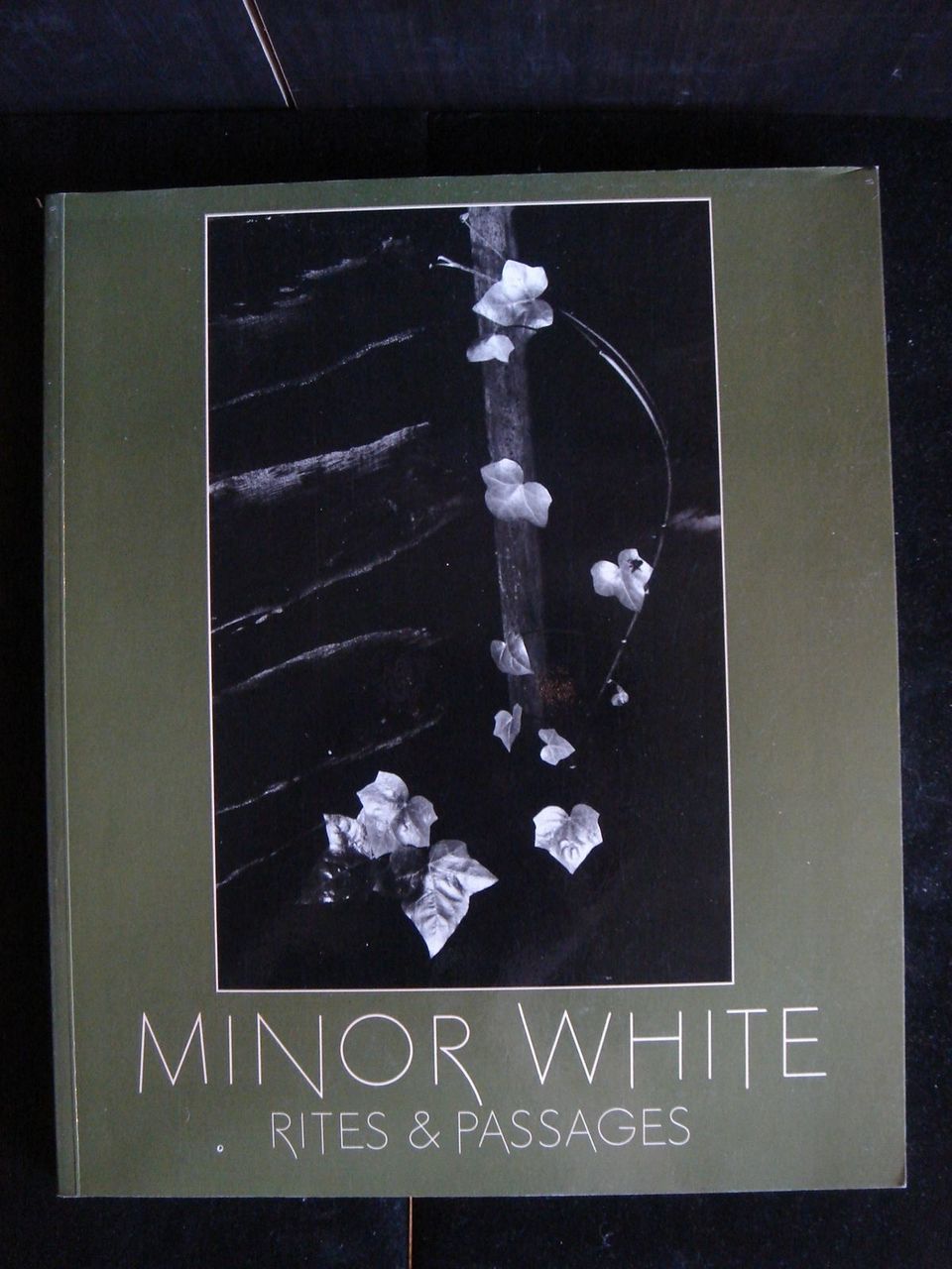 MINOR WHITE RITES & PASSAGES 1978 Photography Modern Prose Illustrated