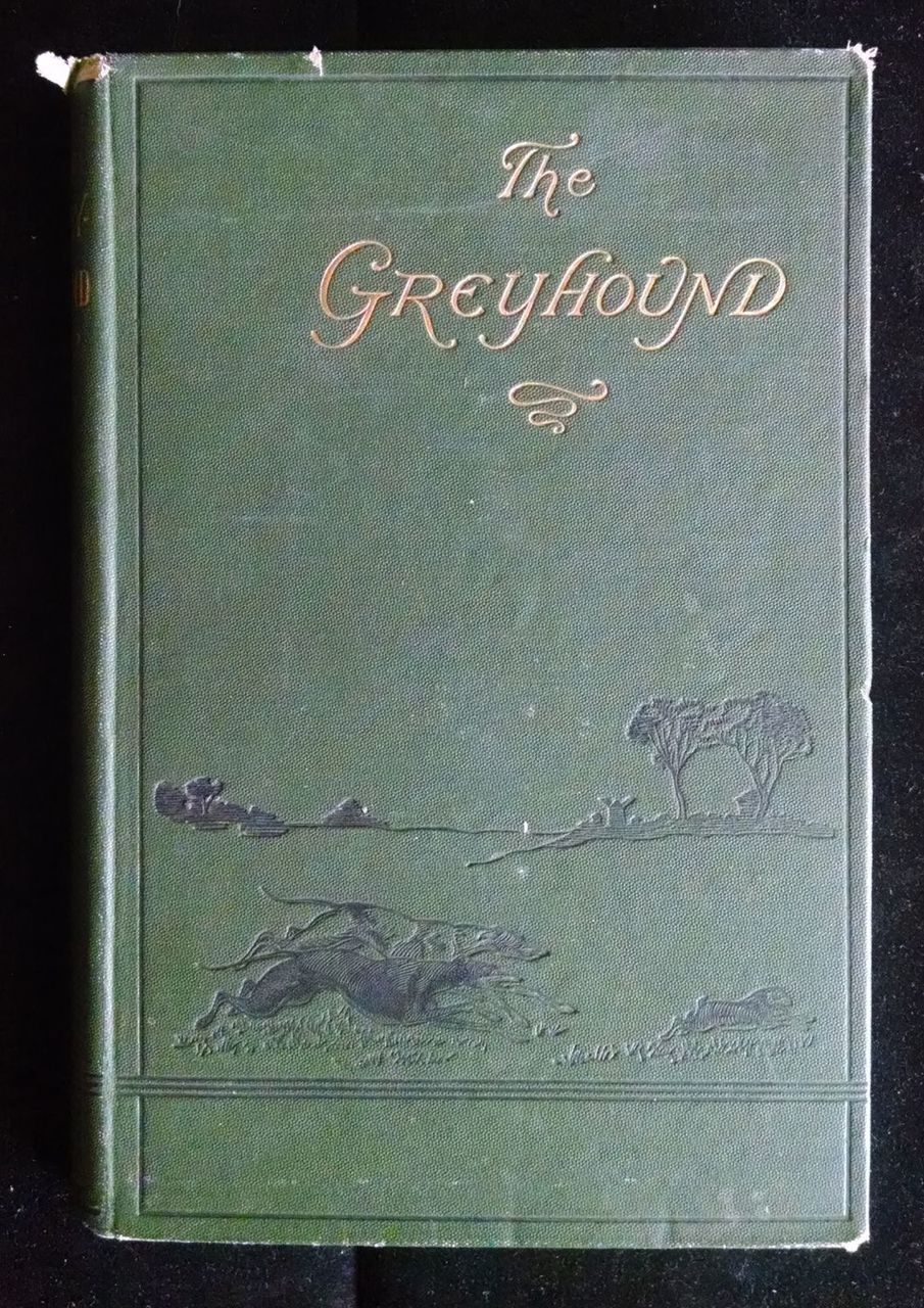 THE GREYHOUND Dalziel Dogs Illustrated Breed Breeding Training Rearing