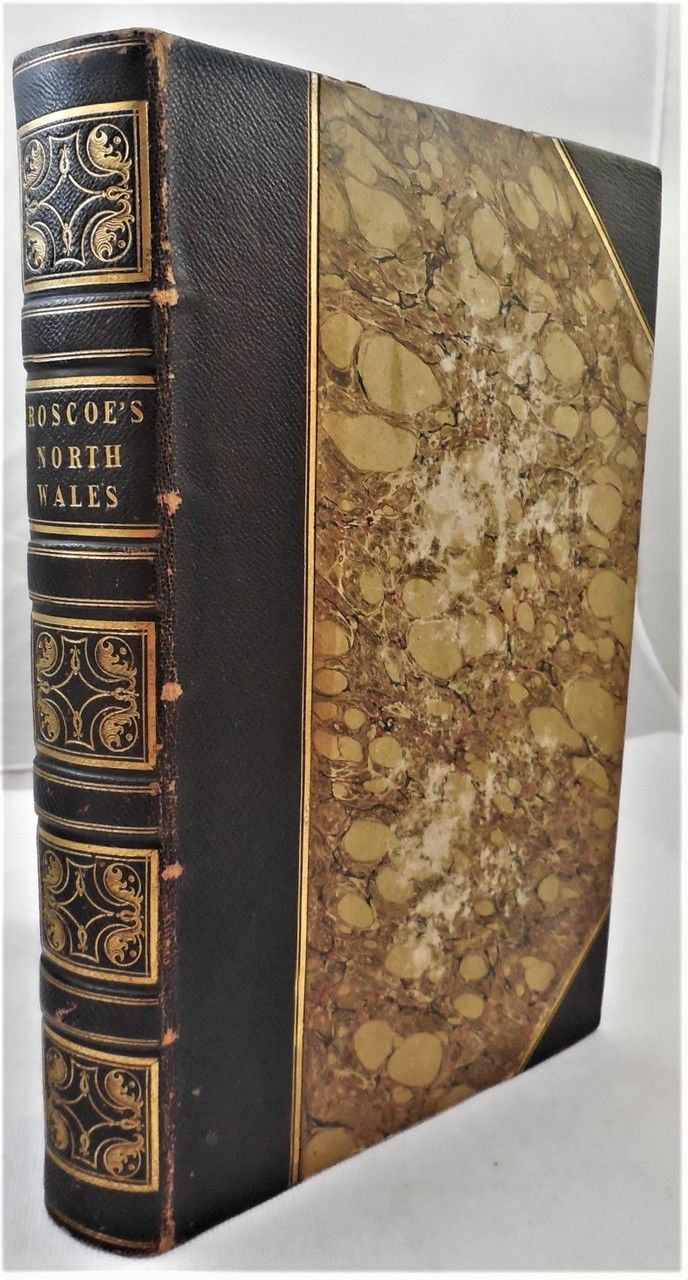 WANDERINGS & EXCURSIONS IN NORTH WALES, by Thomas Roscoe; Radclyffe - 1836