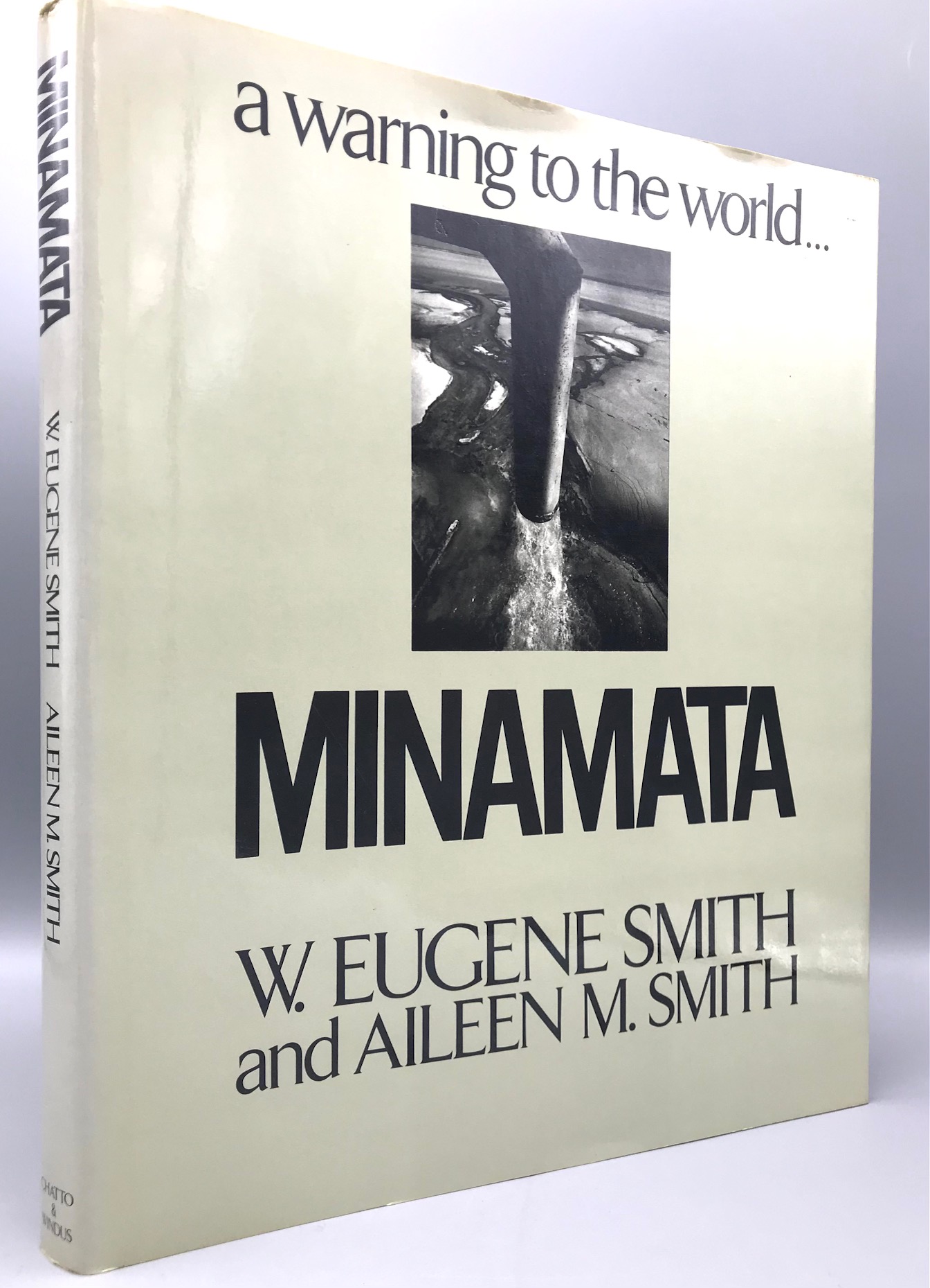 The　Patheology　of　Minamata　Dis（単行本） The Patheology of Minamata Dis | Tadao Takeuchi, Komyo Eto |本