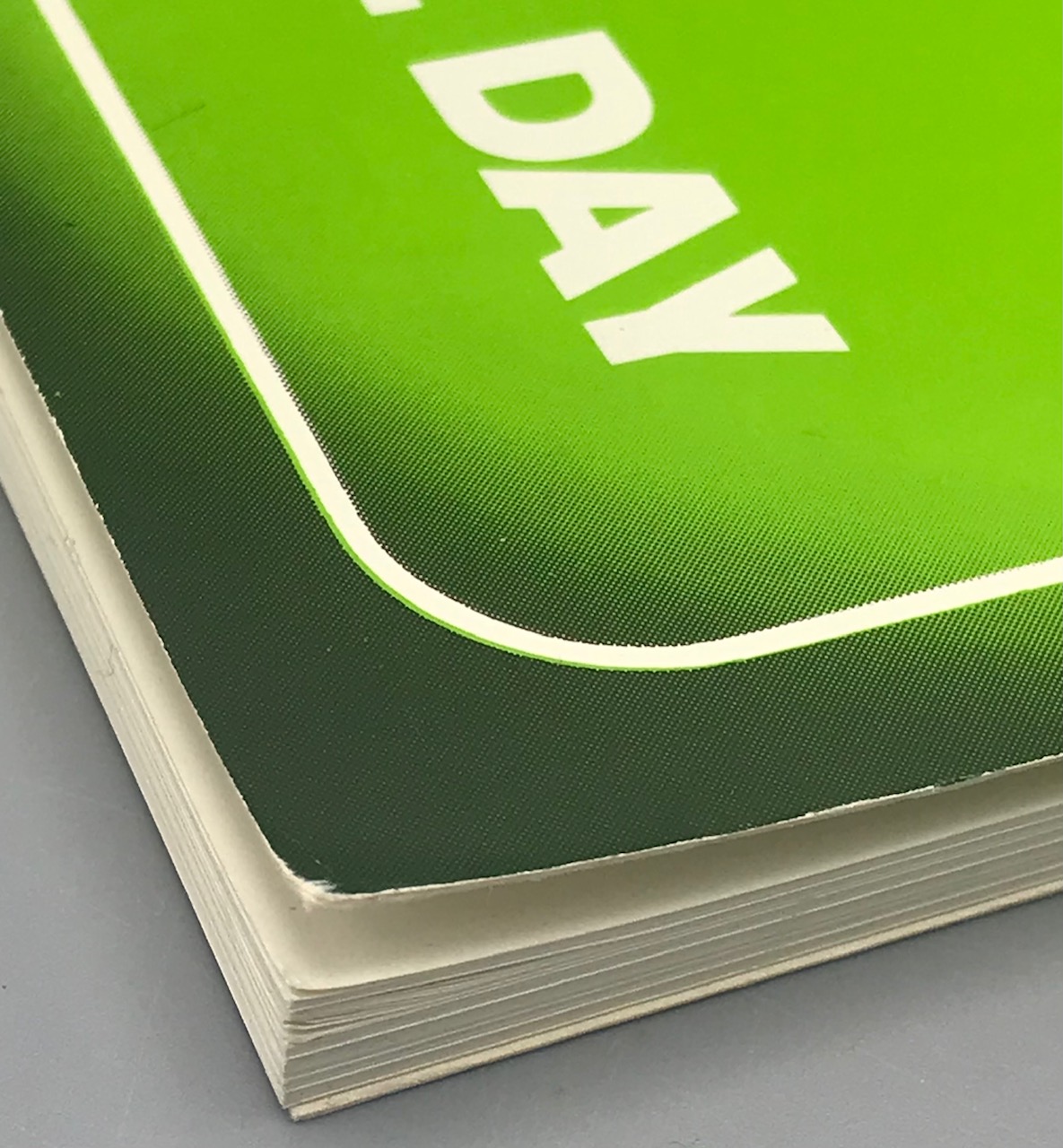 THE BURNS BOOK, by Paul Day - 1990 [Reissue] | Panoply Books
