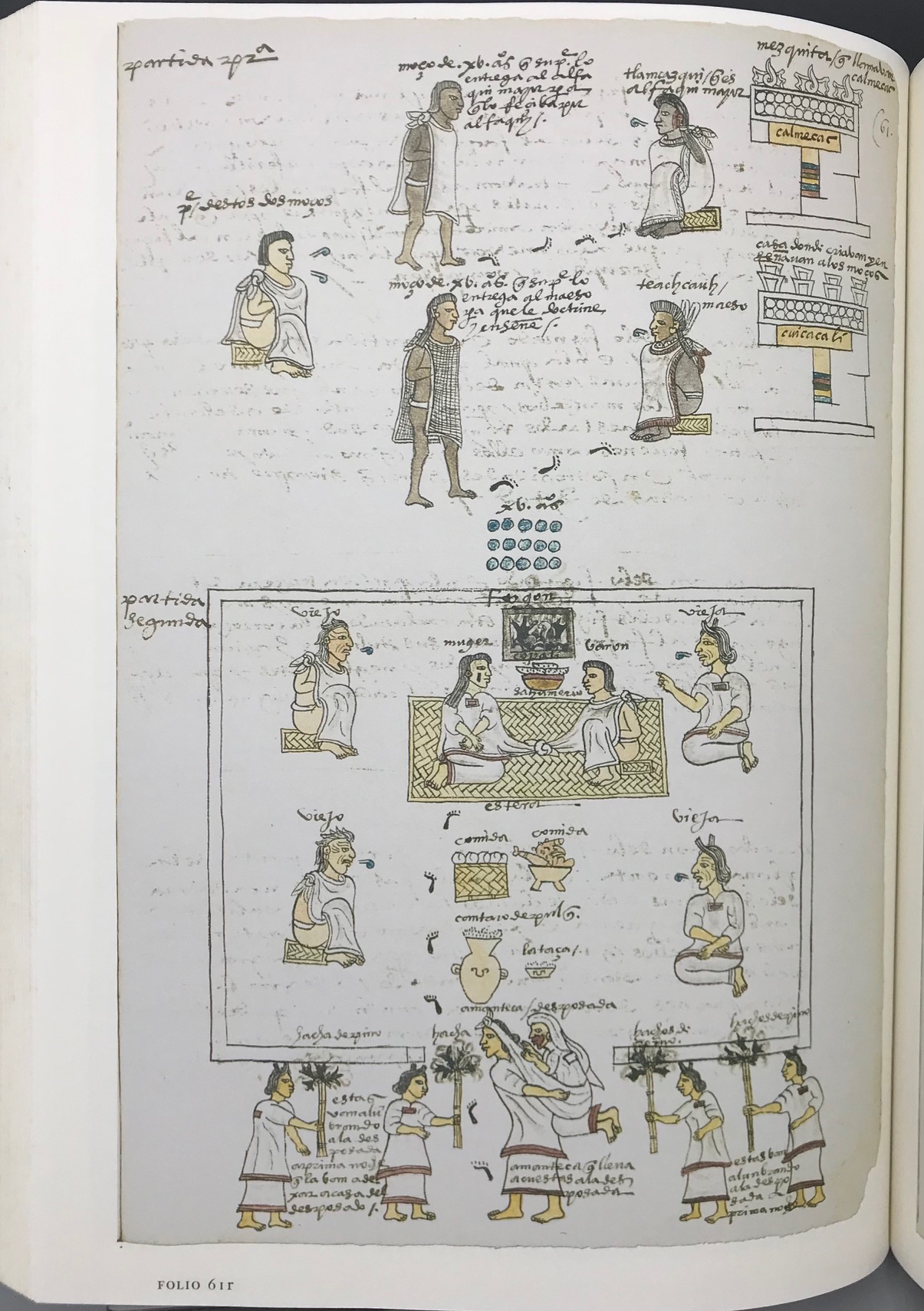 THE ESSENTIAL CODEX MENDOZA, by Frances F. Bearden and Patricia