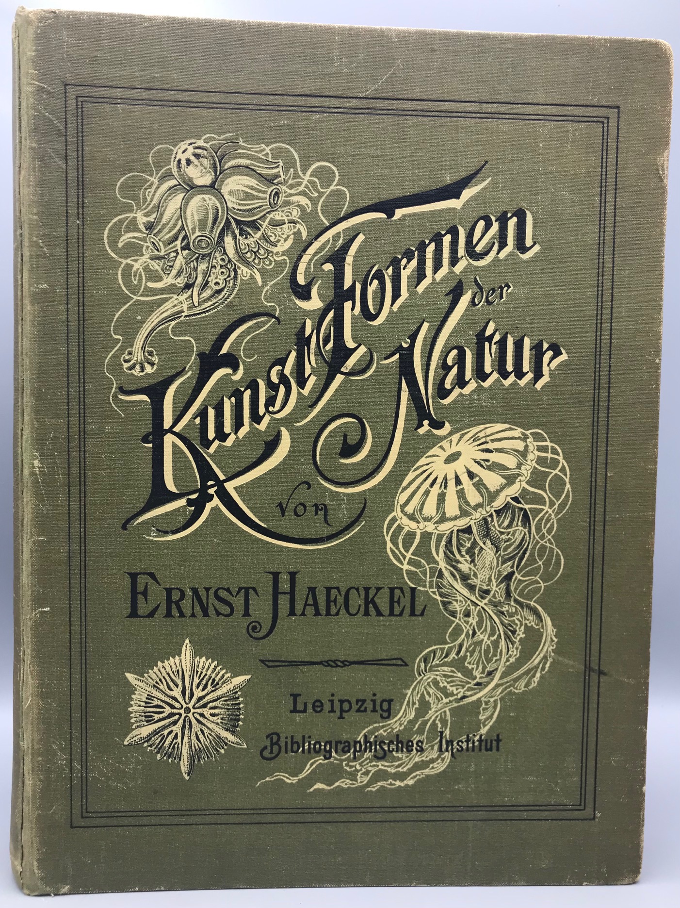 KUNSTFORMEN DER NATUR (ART FORMS IN NATURE), by Ernst Haeckel - 1904 [100 Plates]