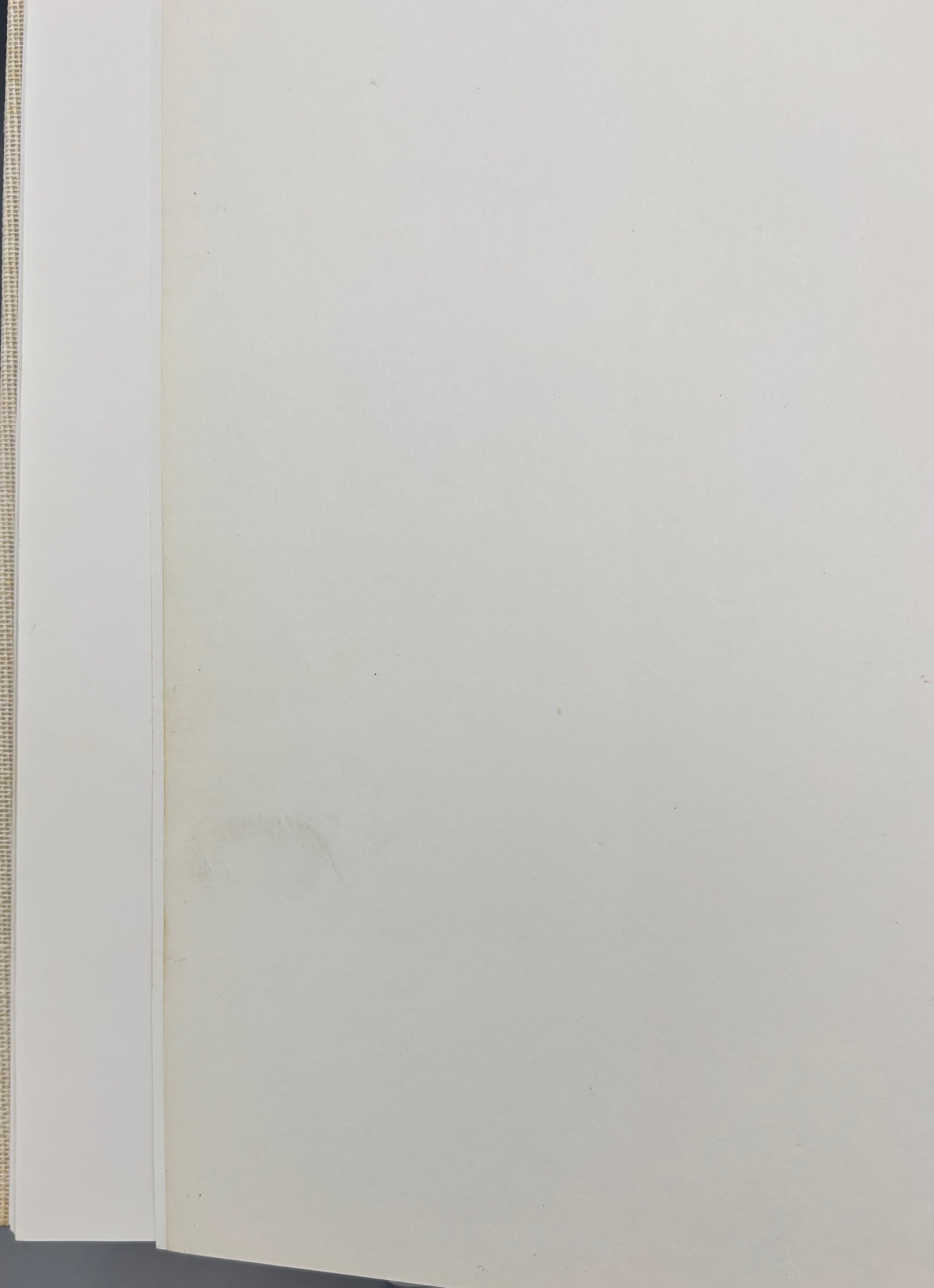 FUTURA 2000: OEUVRES RECENTES - 1989 [1st Ltd. Ed./DJ] | Panoply Books