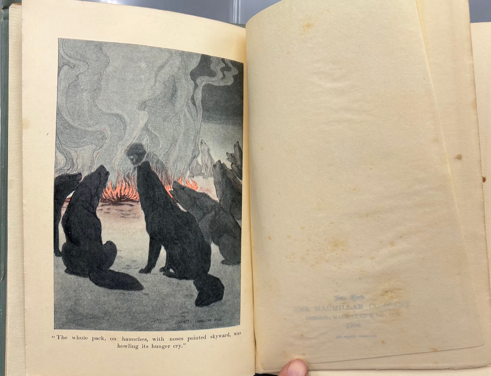 WHITE FANG, by Jack London - 1906 [1st Ed. Illustrated] | Panoply