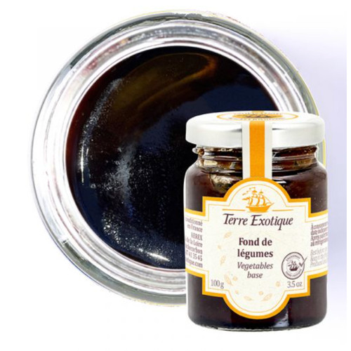 Terre Exotique Rich Vegetable Stock Base 100g