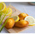 Jeannette Lemon Madeleines 10pcs 250g