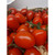 Tomato Piccadilly 300g