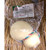 IT Provoletta / Scamorza white 420g (a whole) SOV