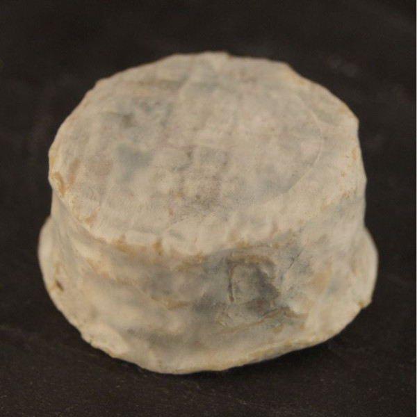 FR Crottin de Brebis Organic 60g BEL