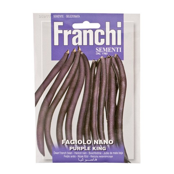 Franchi Bean Kidney Purple King
