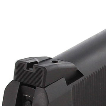 Sight for RIA 1911 w/ Novak Cuts, Fixed Carry Black Rear, by Dawson Precision®