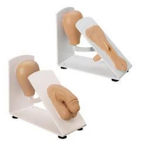 Male & Female Catheterization Trainer Set