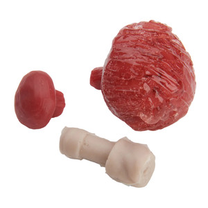 Nasco Micro-Preemie Simulator Replacement Kit