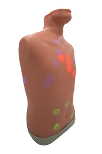 Nasco Auscultation Trainer 2.0