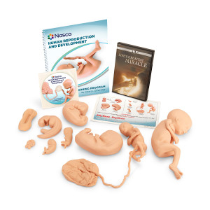 Nasco Human Reproduction and Development Kit with DVD