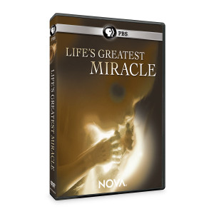 Nasco Life's Greatest Miracle DVD
