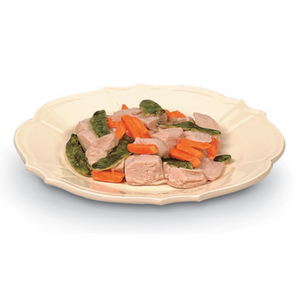 Nasco Stir-Fried Chicken Food Replica