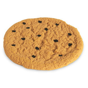 Nasco Chocolate Chip Cookie – 4"