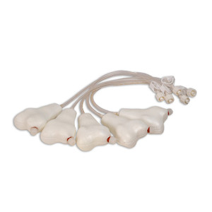 Nasco Penny Pediatric Femur, Package of 5