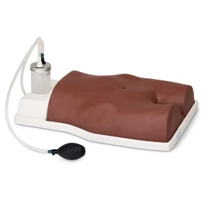 Nasco Suprapubic Training Model – Dark