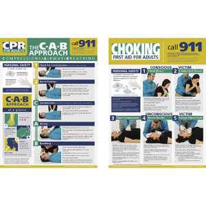 Nasco Adult First Aid Posters - 18 in. x 24 in. Set of 2
