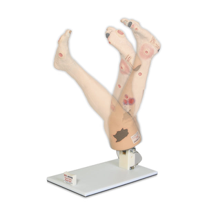 Nasco Healthcare Optional Display Stand