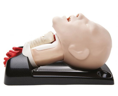 AirSim Advance Combo Bronchi Airway Manikin