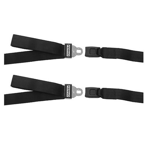 Restraint Strap One Size Fits Most Buckle 2-Strap