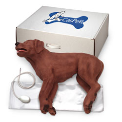 Nasco CasPeR the CPR Dog
