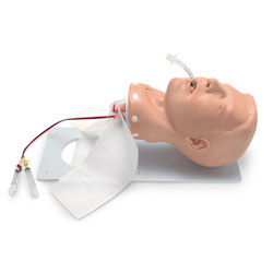 Nasco Adult Deluxe Airway Management Trainer