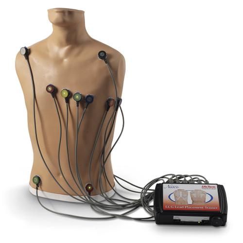 Nasco Life/form 15-Lead ECG Placement Trainer