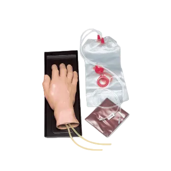 Nasco Right IV Training Hand