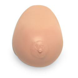 Nasco Breast Self Examination (BSE) Trainer