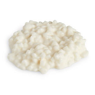 Nasco Cottage Cheese Replica – 1/4 Cup Portion