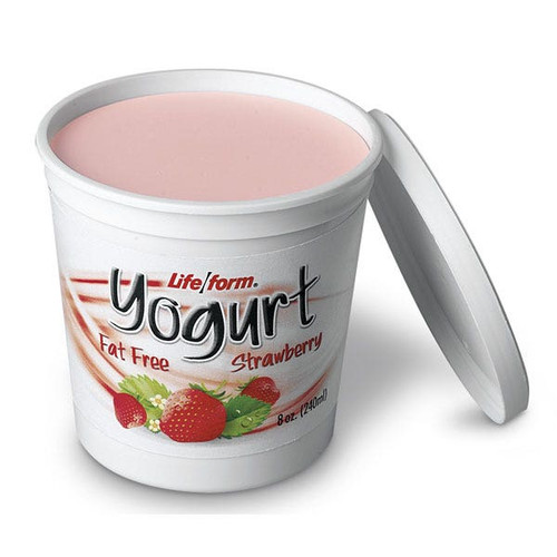 Nasco Yogurt Food Replica – Strawberry