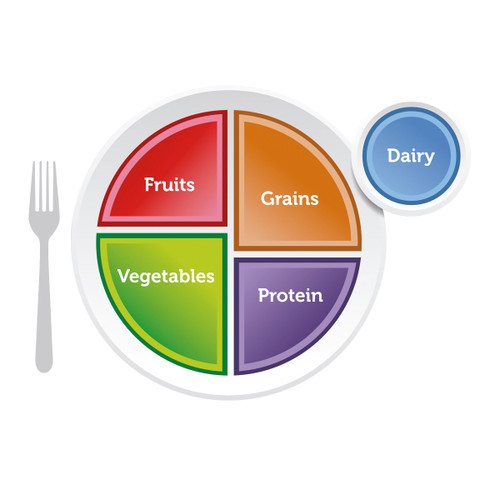 Nasco MyPlate Plate