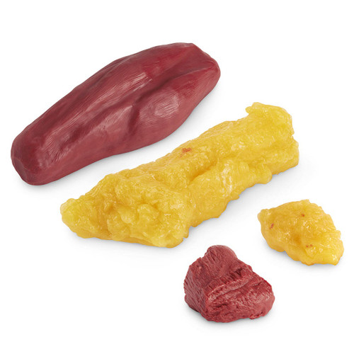 Nasco Replica Fat/Muscle 1lb & 5lb