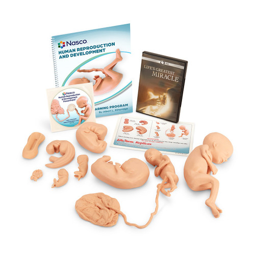 Nasco Human Reproduction and Development Kit with DVD