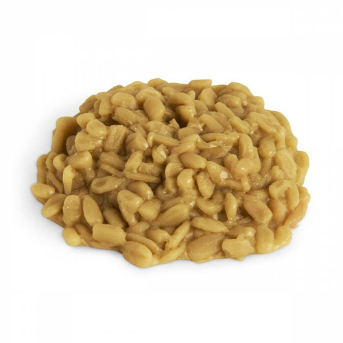 Nasco Sunflower Kernels Food Replica