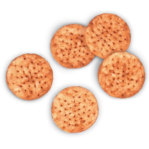 Nasco Whole Wheat Crackers Food Replica