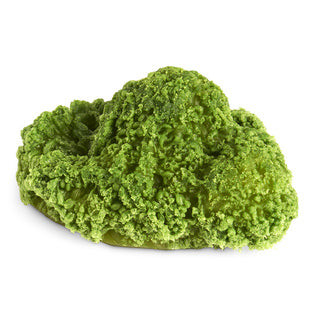 Nasco Broccoli – 1/4 Cup