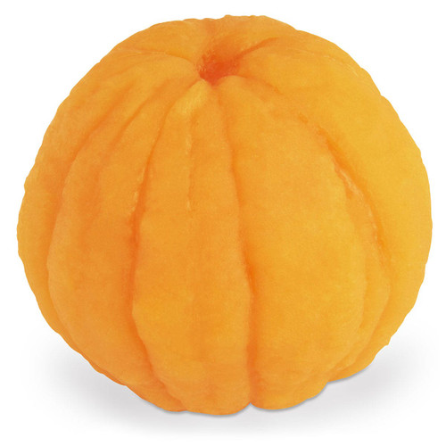 Nasco Orange Food Replica