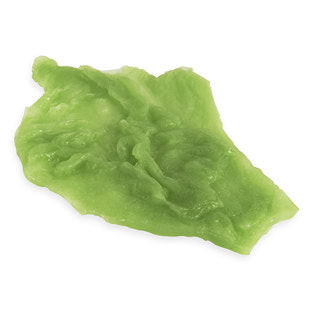 Nasco Lettuce – Large Leaf