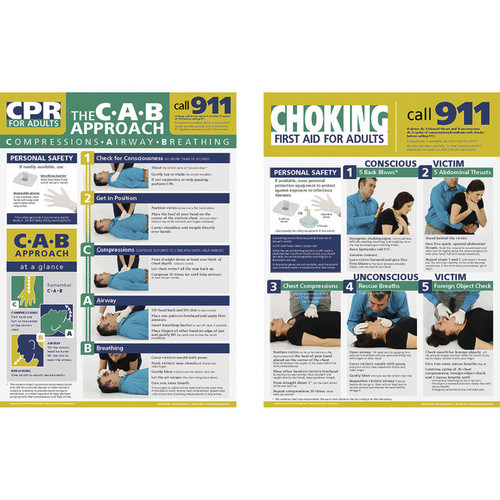 Nasco Adult First Aid Posters - 18 in. x 24 in. Set of 2