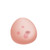 Nasco SONOtrain Breast Model with Tumors