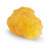Nasco 1-lb. and 5-lb. Fat Replica Sets