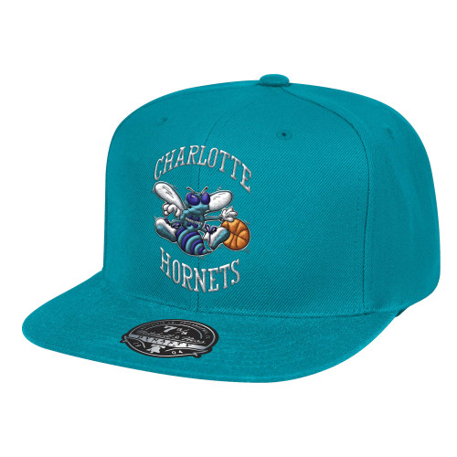 TEAM GROUND FITTED HWC CHARLOTTE HORNETS