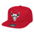 TEAM GROUND FITTED HWC CHICAGO BULLS