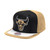 DAY ONE SNAPBACK CHICAGO BULLS(BLK/BROWN)